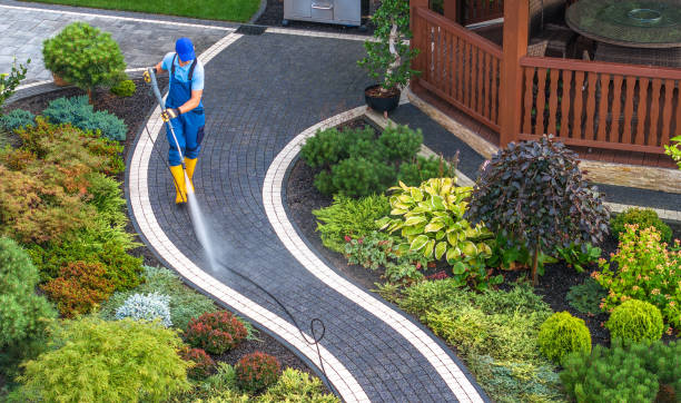  Buffalo, SC Pressure Washing Pros