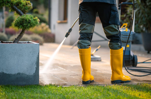 Best Roof Power Washing Services  in Buffalo, SC
